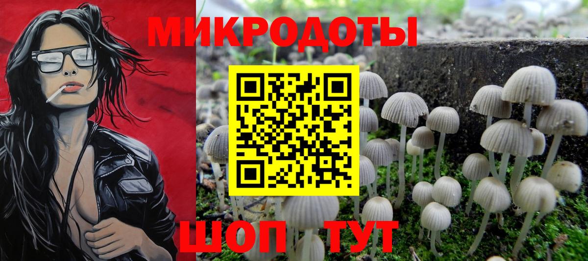Отрадное  Псилоцибиновые грибы мицелий  Вход с VPN 